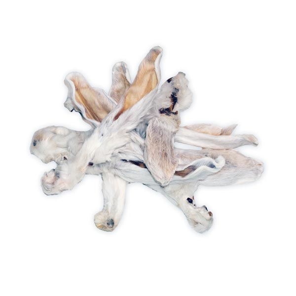 Wirths Profi Barf Hundefutter LKaninchenohren mit Fell - Hunde Kauartikel