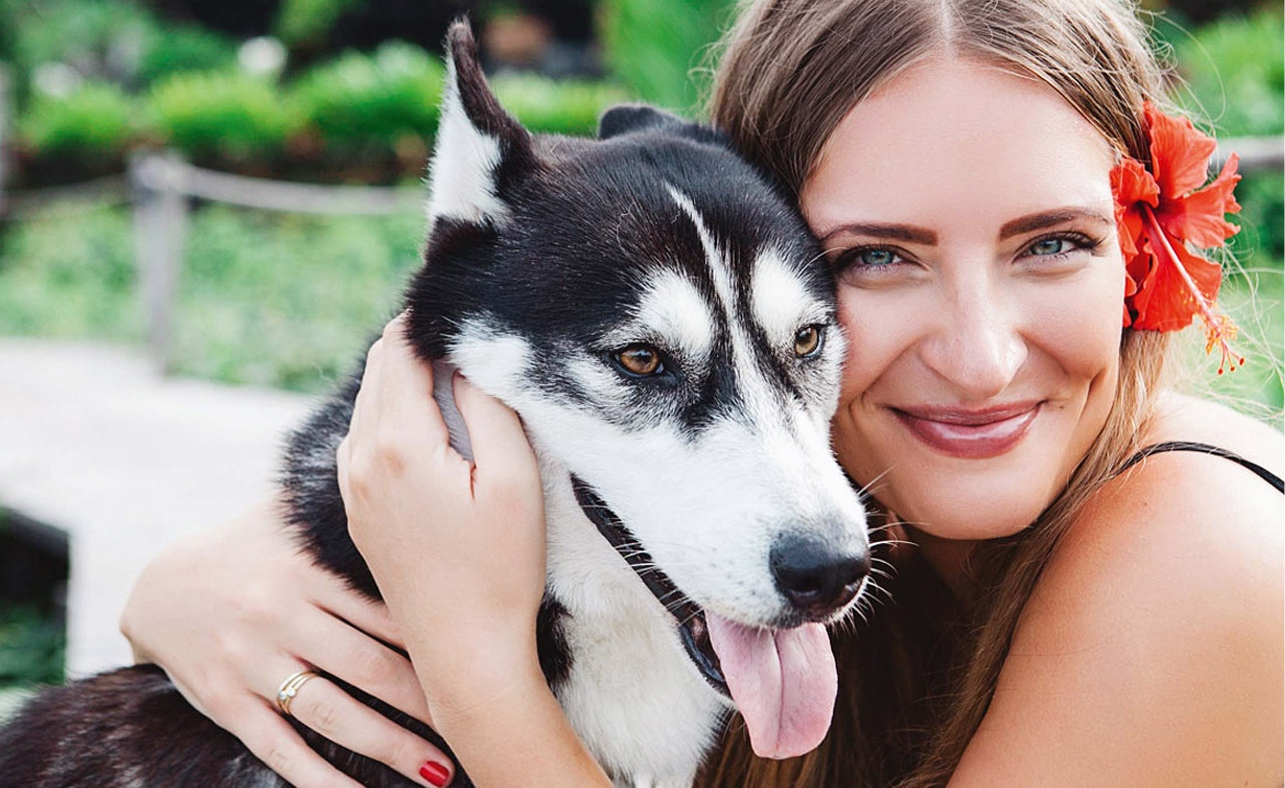 Wirth's Profi Barf Hundefutter - mein Freund der Hund / Hund schmust Mädchen