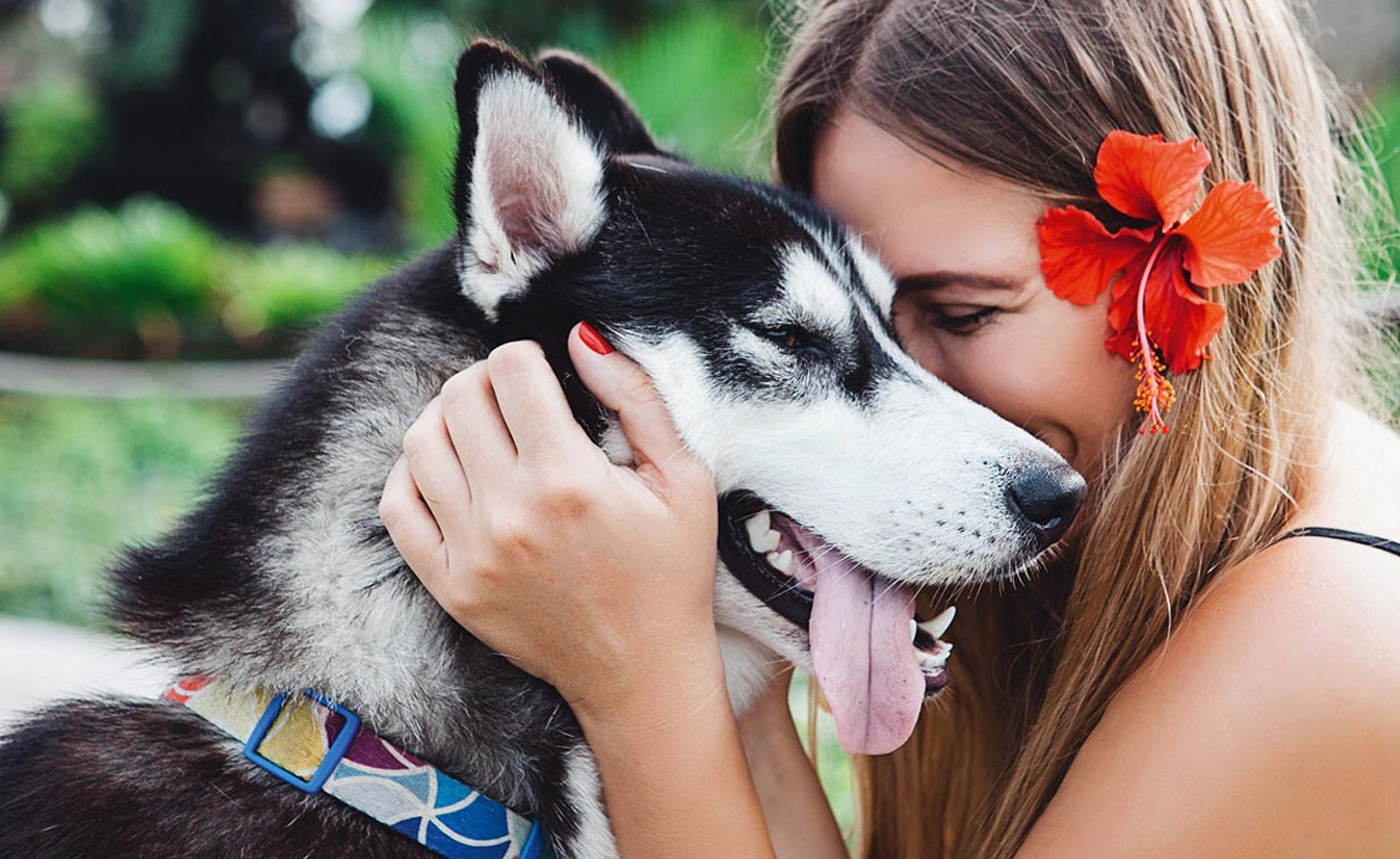 Wirth's Profi Barf Hundefutter - mein Freund der Hund / Hund schmust Mädchen